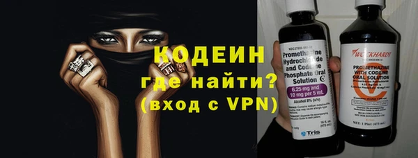 хмурый Липки