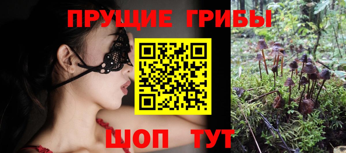 Псилоцибиновые грибы прущие грибы Нижний Тагил